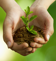 Безопасность латексных шаров