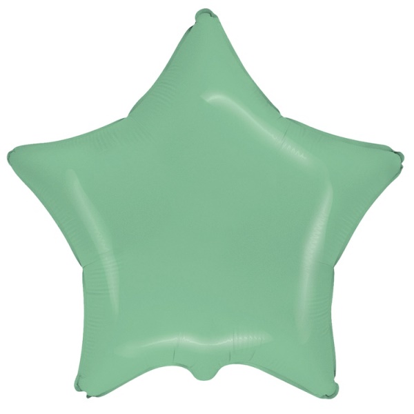FM Звезда Пастель Mint 18"/45см