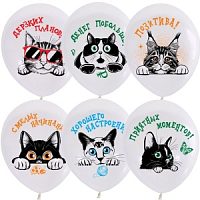 Воздушные шары WHITE рис. Коты Пожелания 5шт 12"/30см