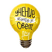 Фигура Лампочка, учение – свет! 54х71 см