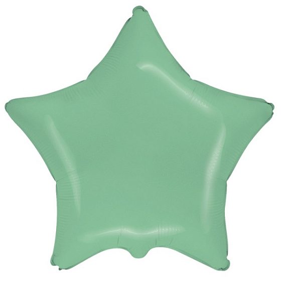FM Звезда Пастель Mint 18"/45см